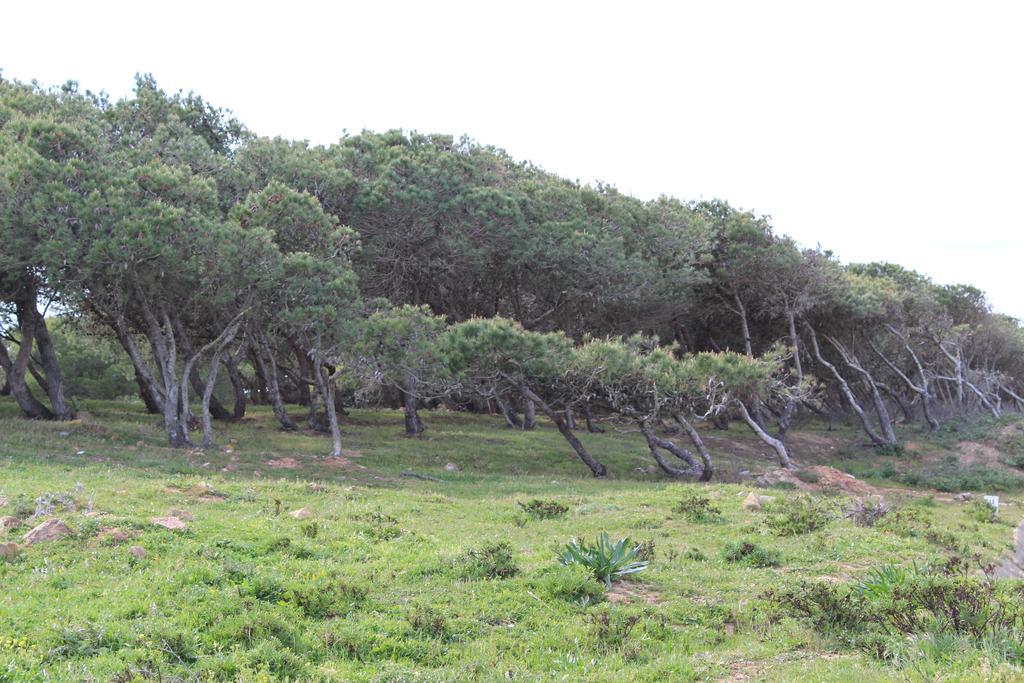 Villa Boa Vista Sul - Terra Da Eira - Raposeira Vila do Bispo Kültér fotó